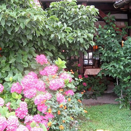 Guest House Zlatibor Budva Exterior photo